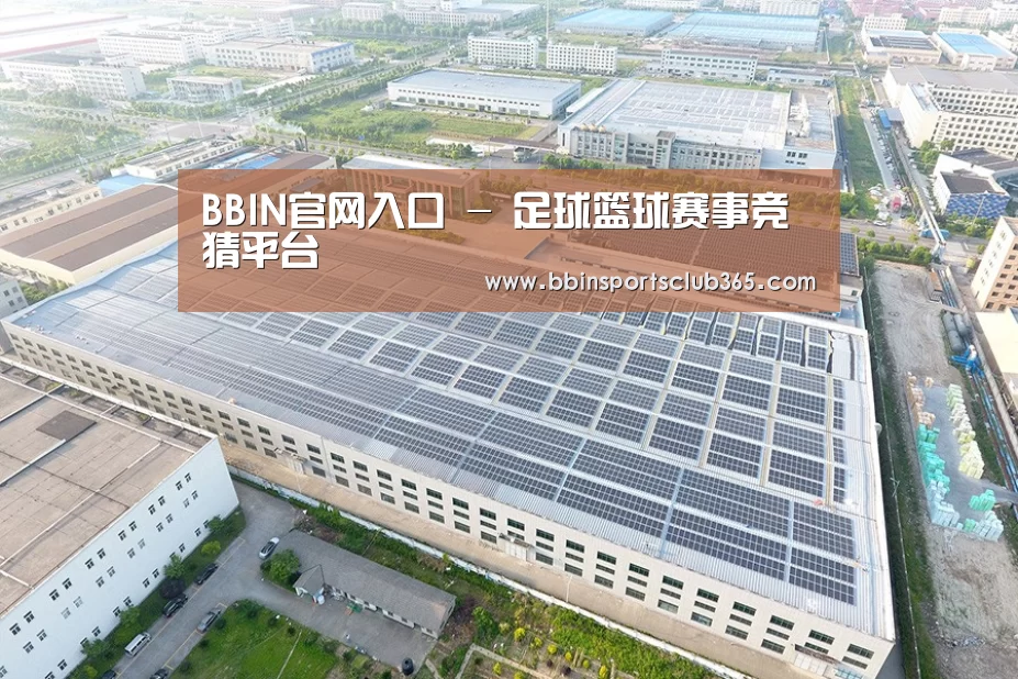 案例展示二