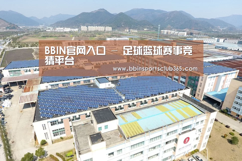 案例展示二