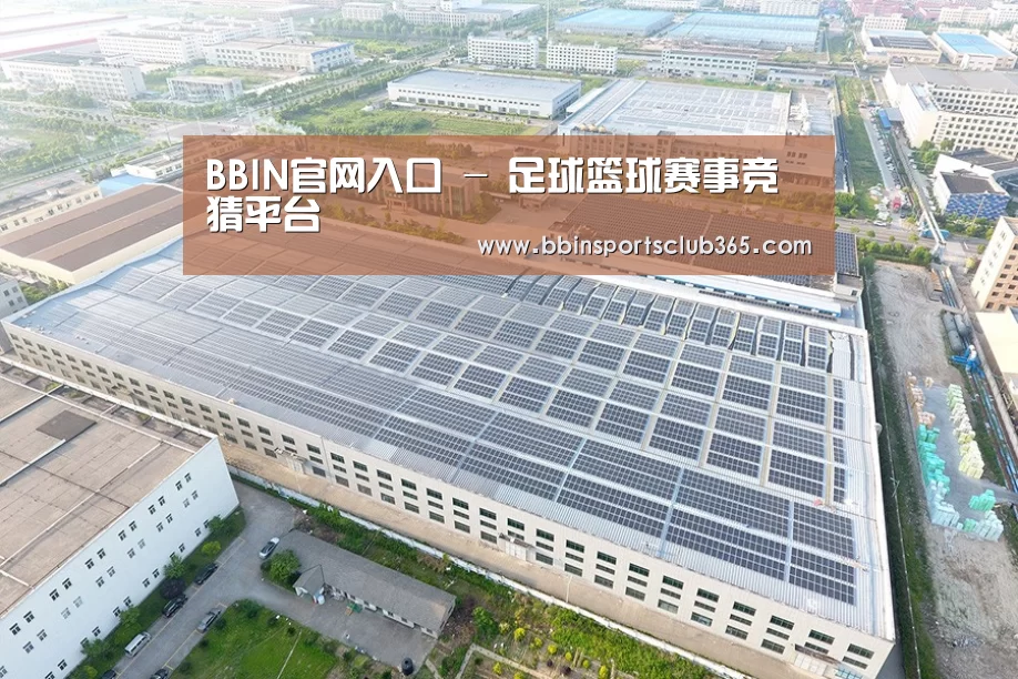 案例展示一
