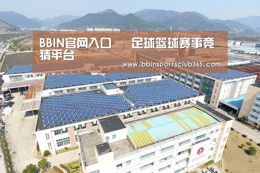 案例展示一