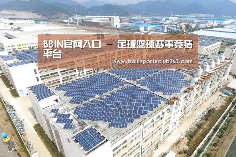 案例展示二
