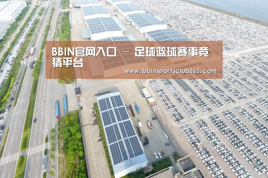 案例展示一