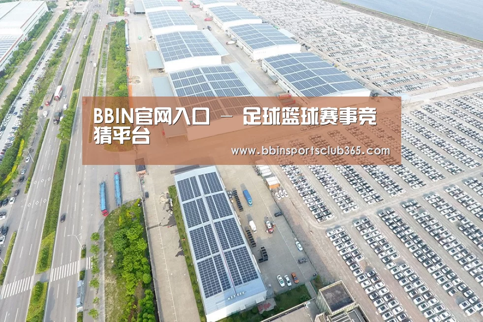 案例展示四