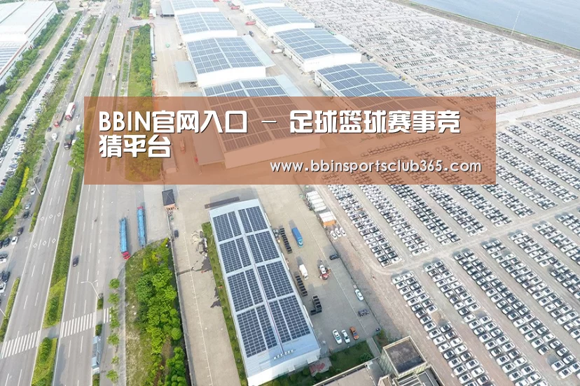 案例展示二