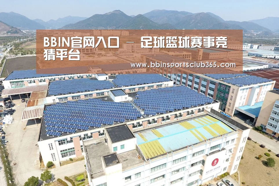 案例展示三