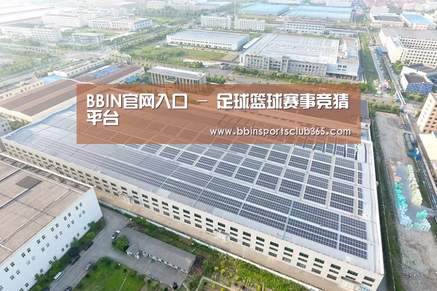 案例展示四