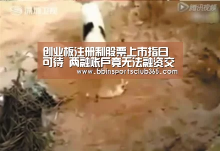 创业板注册制股票上市指日可待 两融账户竟无法融资交易?:BBIN直播(图1) BBIN体育