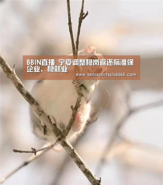 BBIN直播_宁夏调整稳岗返还标准保企业、稳就业(图2) BBIN直播