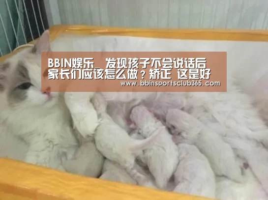 BBIN娱乐_
发现孩子不会说话后 家长们应该怎么做?矫正 这是好措施(图3) BBIN入口