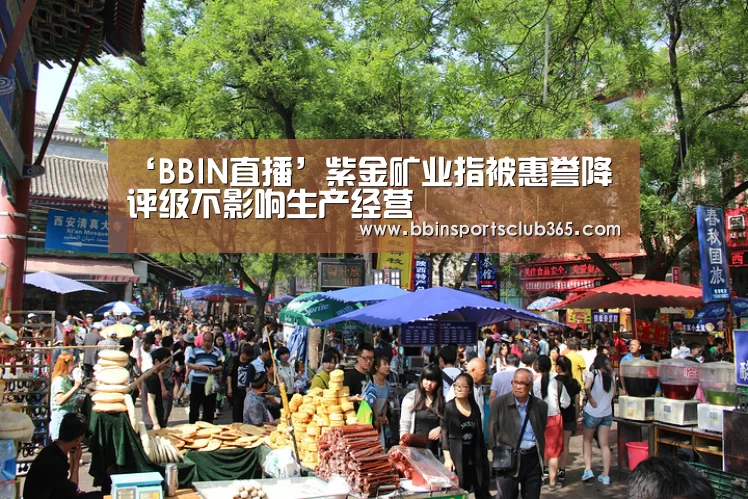 ‘BBIN直播’紫金矿业指被惠誉降评级不影响生产经营(图2) BBIN直播
